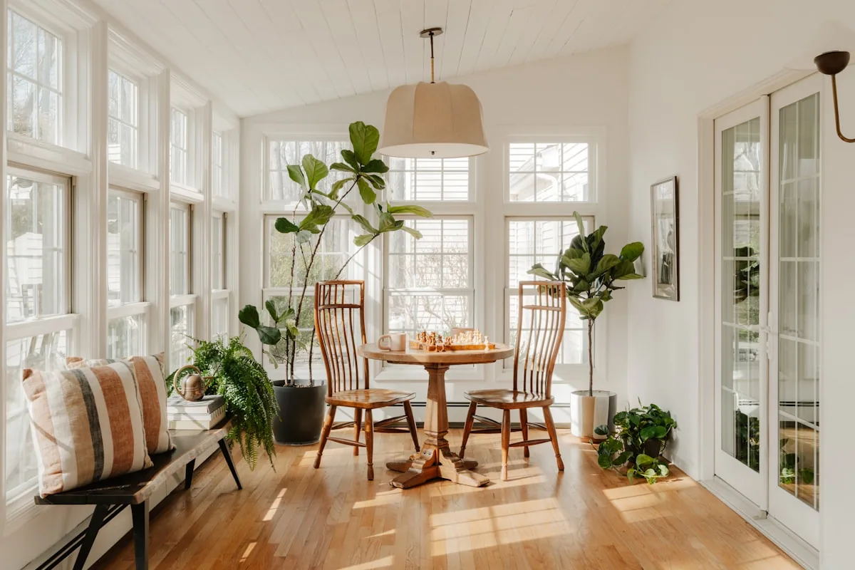 A bright sunroom with a round table, spindle-back chairs and potted figs along a wall of windows.