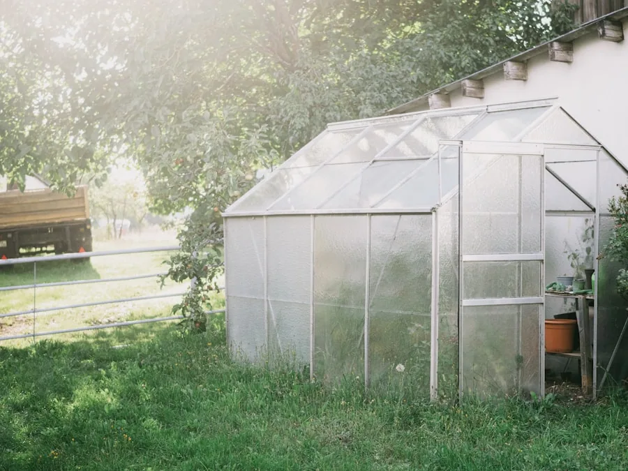 A small aluminium-framed greenhouse standing on a mown lawn in soft morning light.