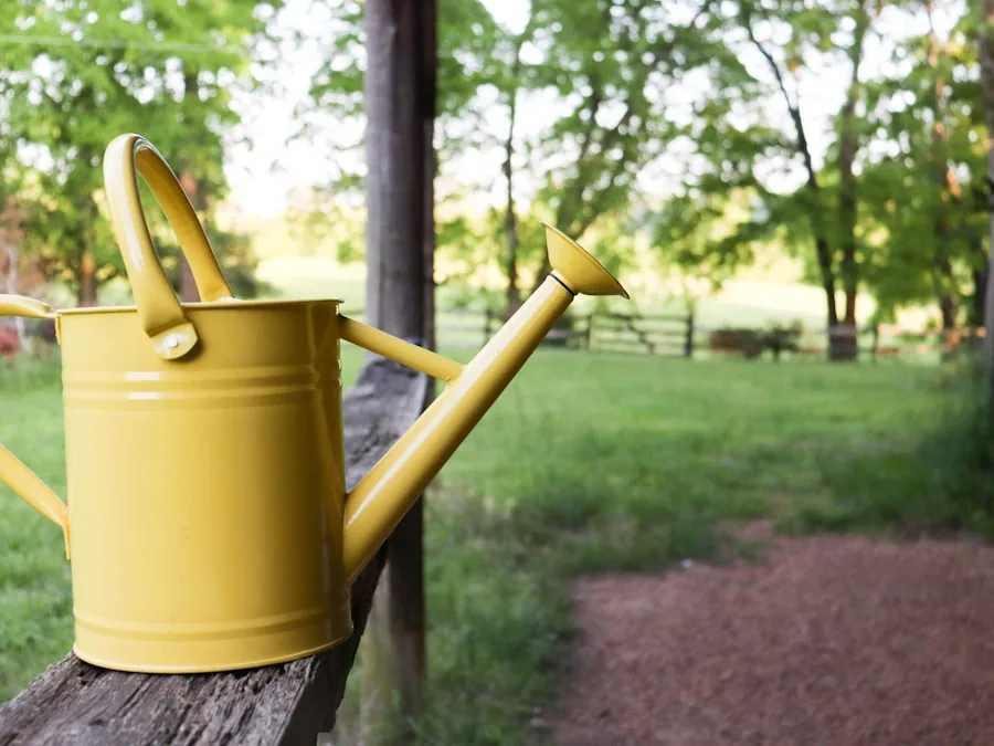 A pale yellow galvanised watering can resting on a fence rail in low evening sun.